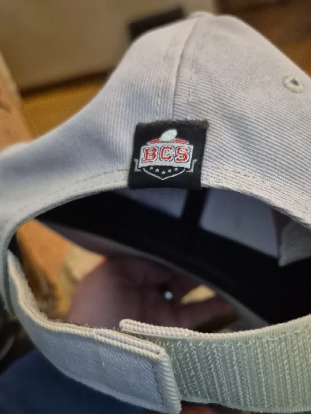 Nike Gray Oregon Rose Bowl Champions Embroidered Baseball Cap